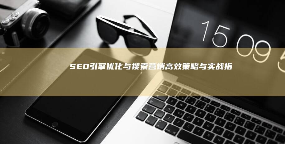 SEO引擎优化与搜索营销：高效策略与实战指南